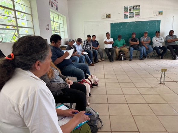 Presentación del proyecto, imagen 2