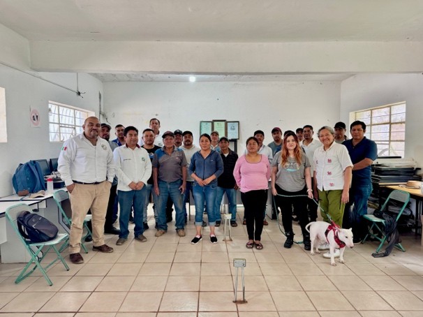 Presentación del proyecto, imagen 3